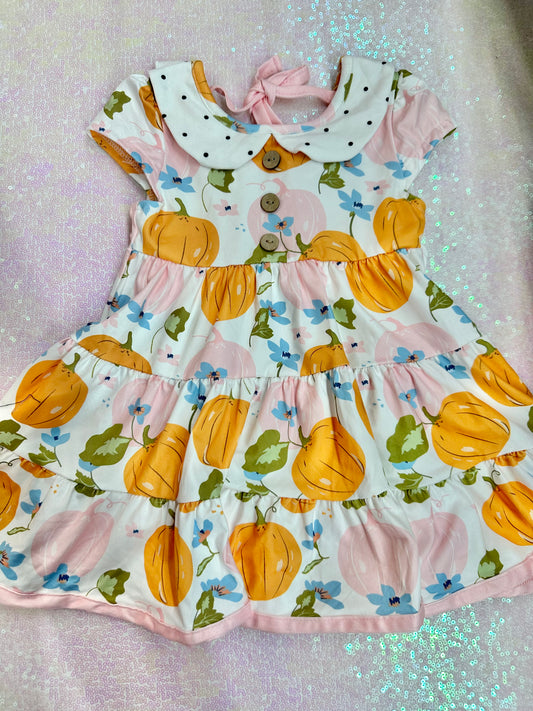 Pink Pumpkin Swing Dress